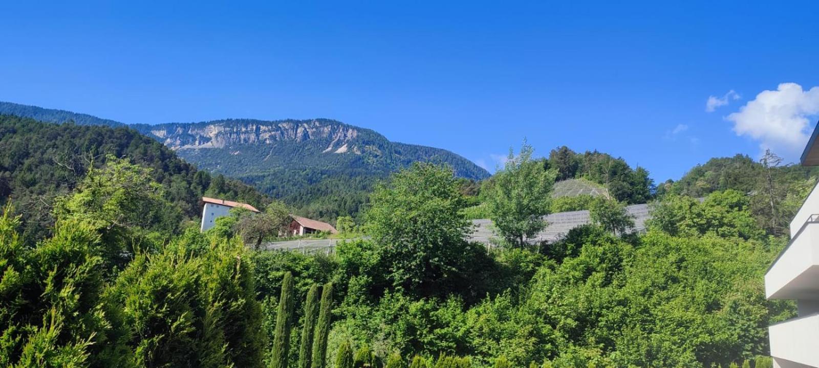 טזימו Janas Bolzano Mountain Apartment מראה חיצוני תמונה